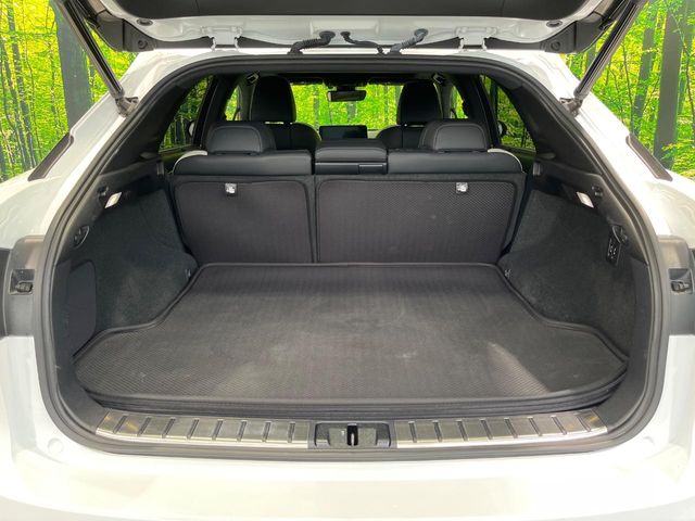 Lexus RX 10