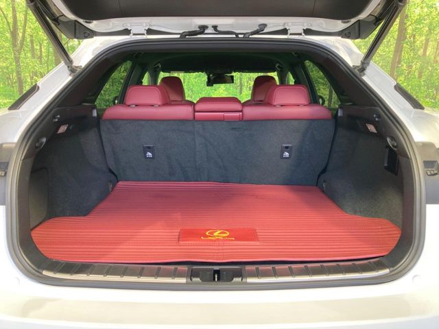 Lexus RX 10