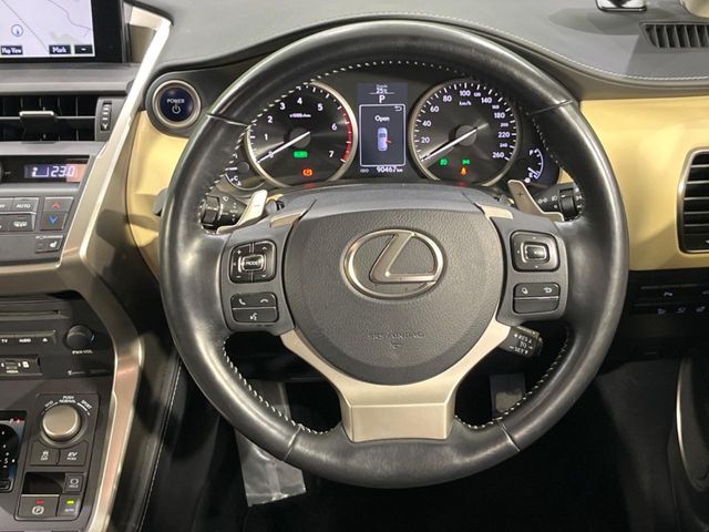 Lexus NX 11