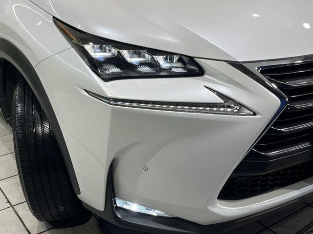 Lexus NX 12