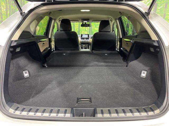 Lexus NX 10