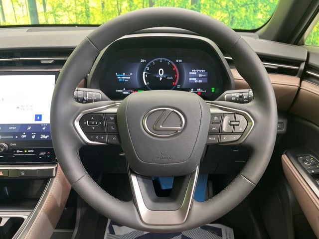 Lexus LBX 11