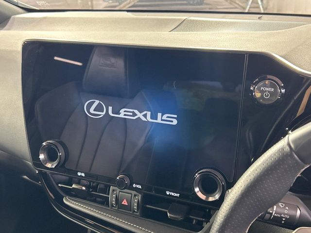 Lexus NX 4