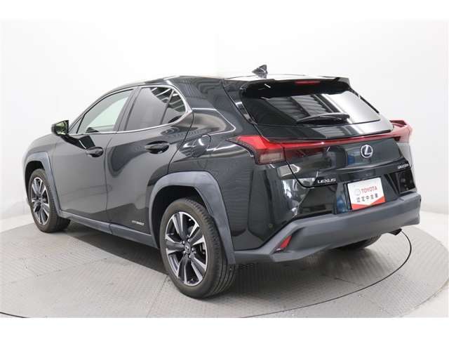 Lexus UX 8