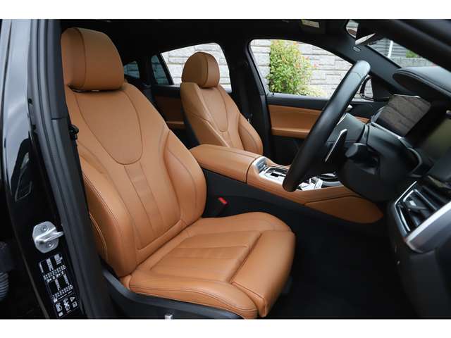 BMW X6 12