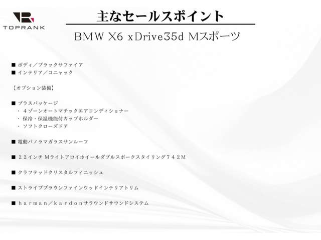 BMW X6 6