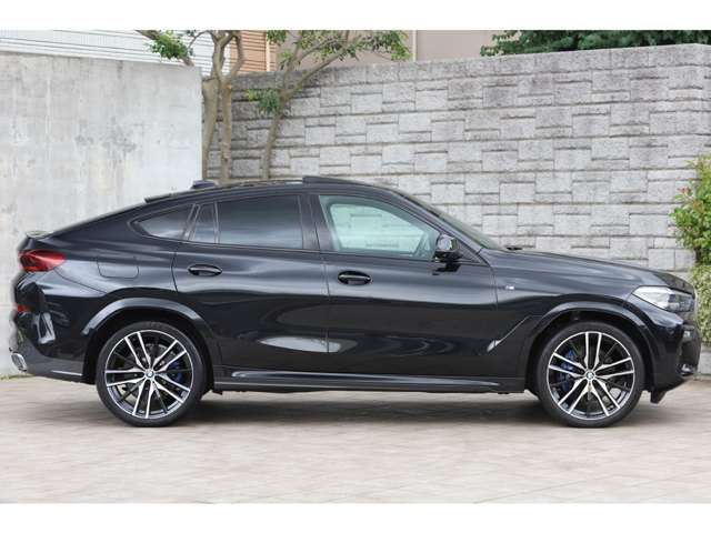 BMW X6 8