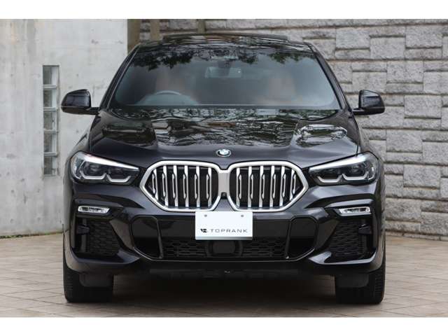 BMW X6 9