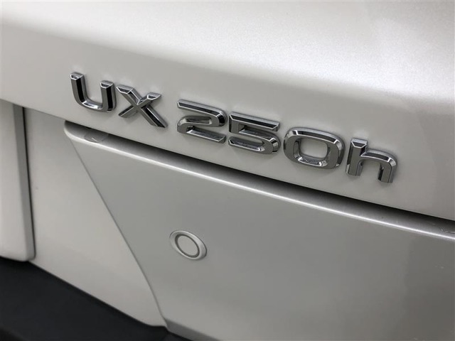 Lexus UX 12