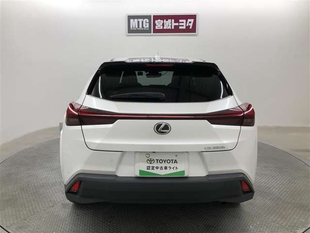 Lexus UX 8