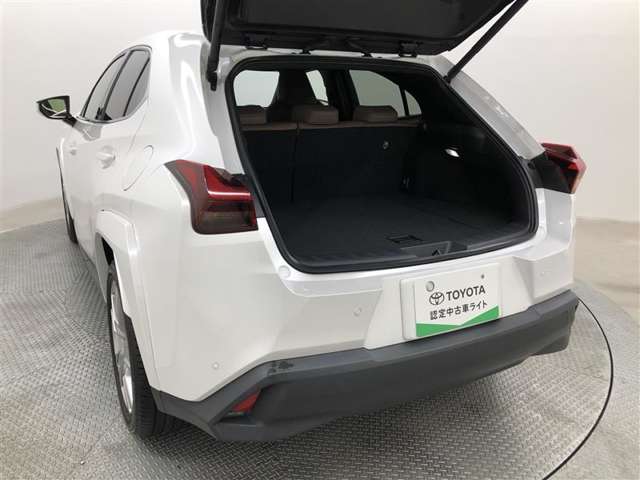 Lexus UX 9