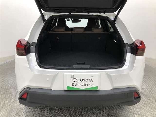 Lexus UX 10