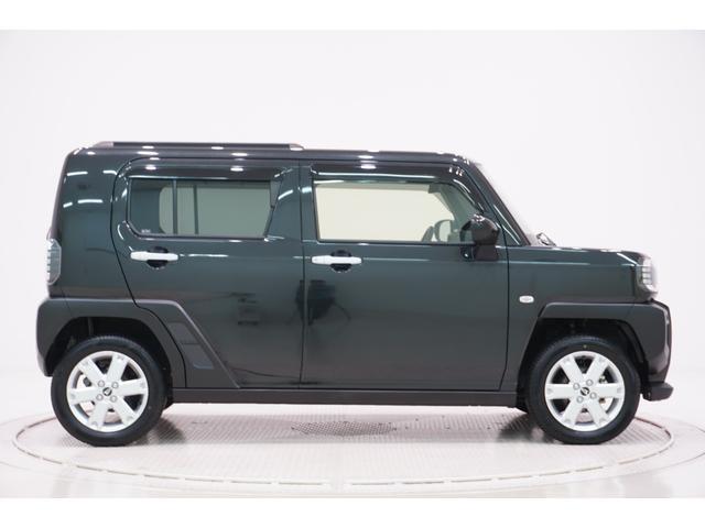 Daihatsu Taft 6