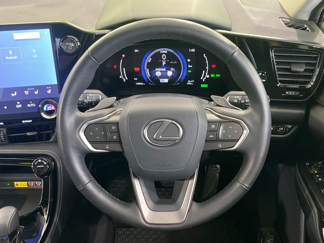 Lexus NX 11