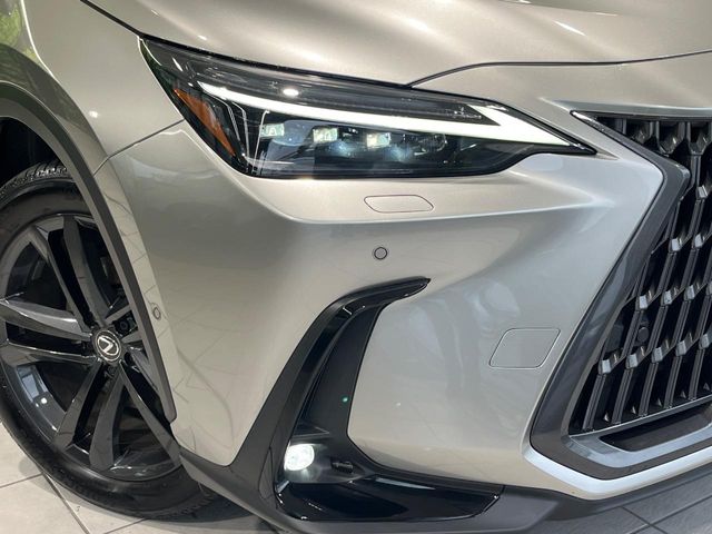 Lexus NX 12