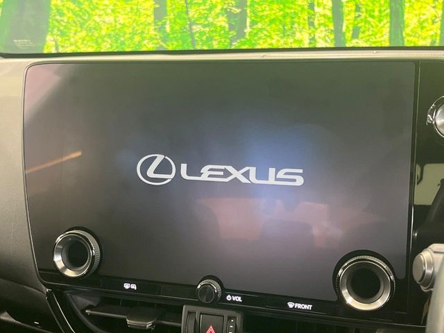Lexus NX 3