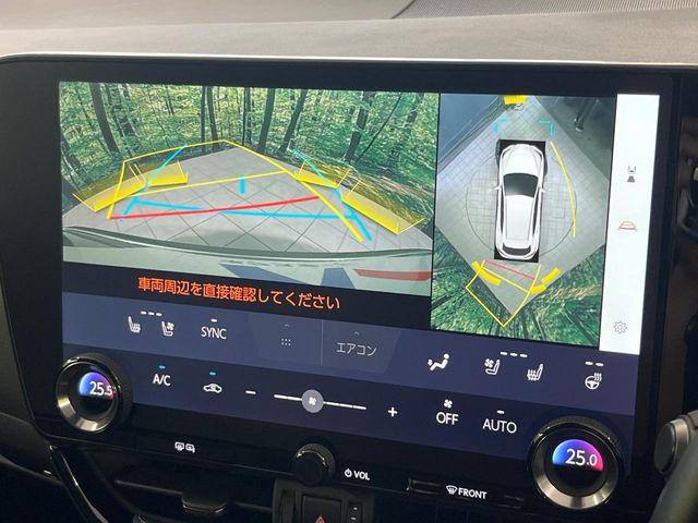 Lexus NX 4