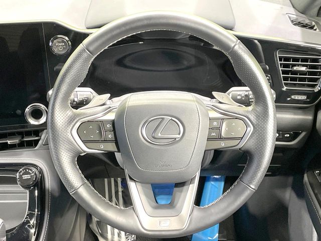 Lexus NX 11