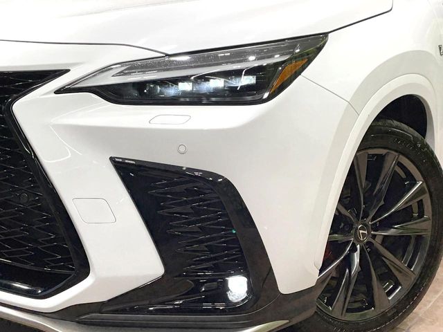 Lexus NX 12