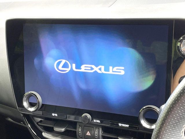 Lexus NX 4
