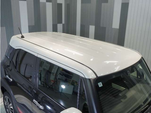 Suzuki XBEE 10