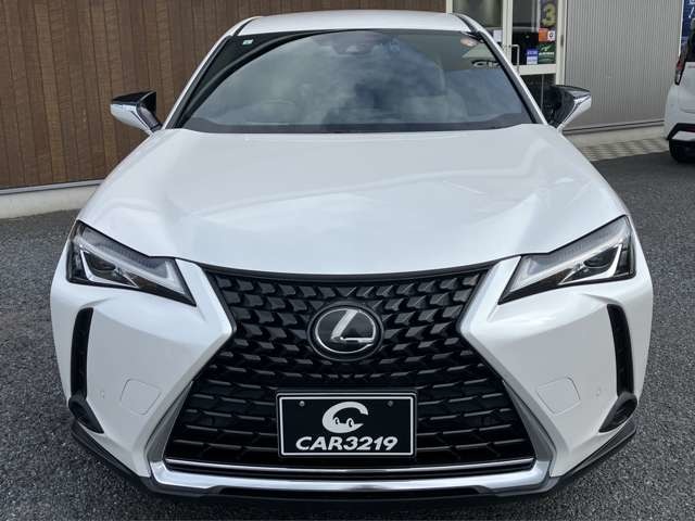 Lexus UX 9