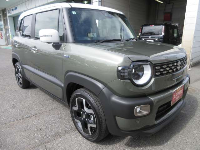 Suzuki XBEE 12