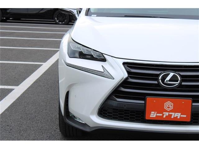 Lexus NX 12