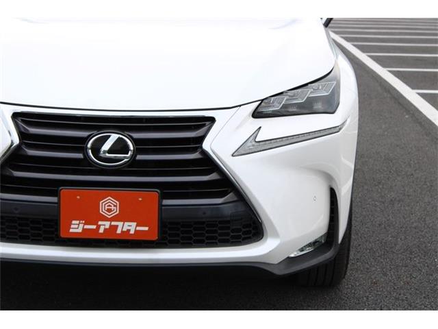 Lexus NX 13