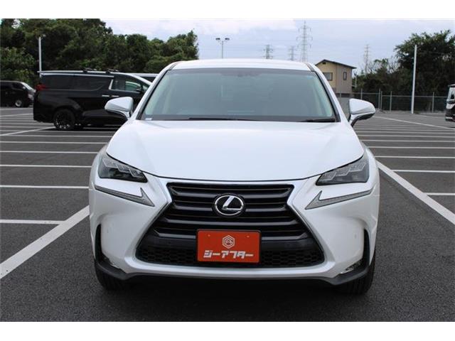 Lexus NX 11
