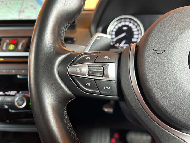 BMW X1 9