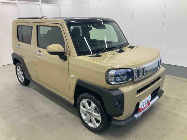 Daihatsu Taft 6