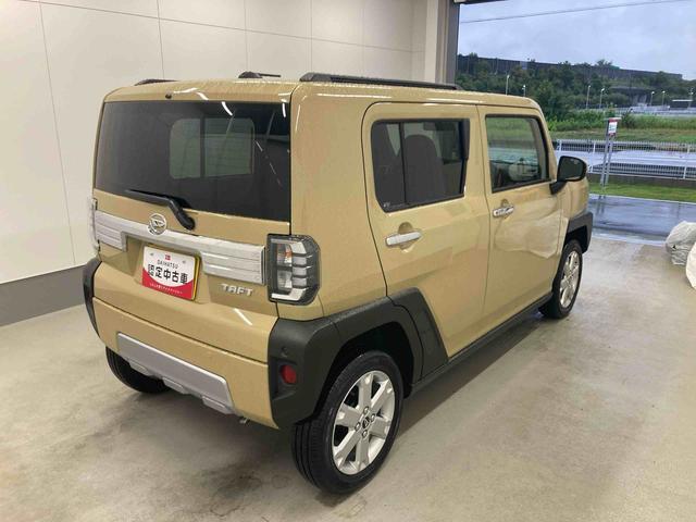 Daihatsu Taft 8