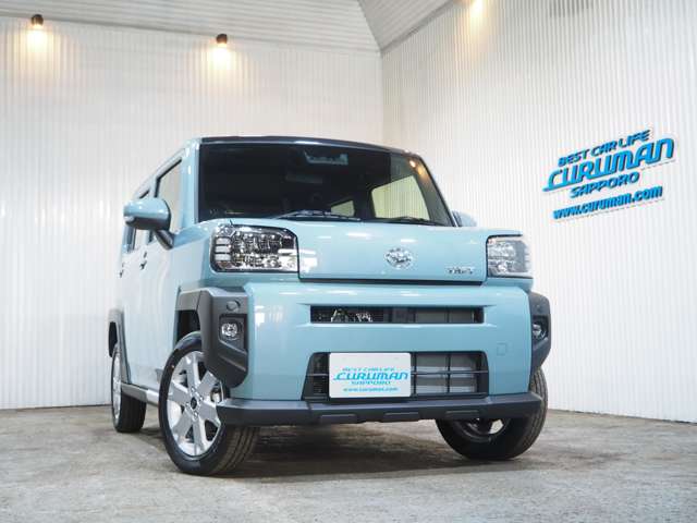 Daihatsu Taft 6