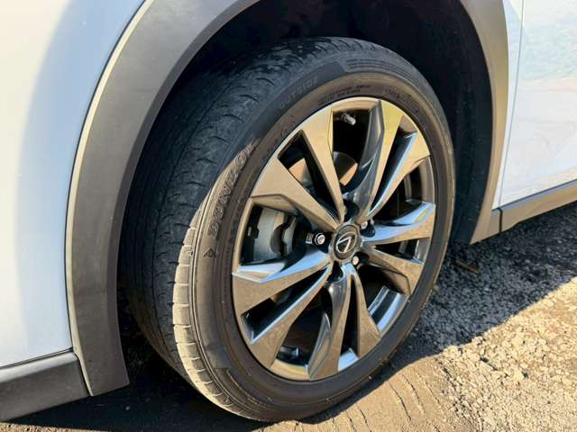 Lexus UX 11