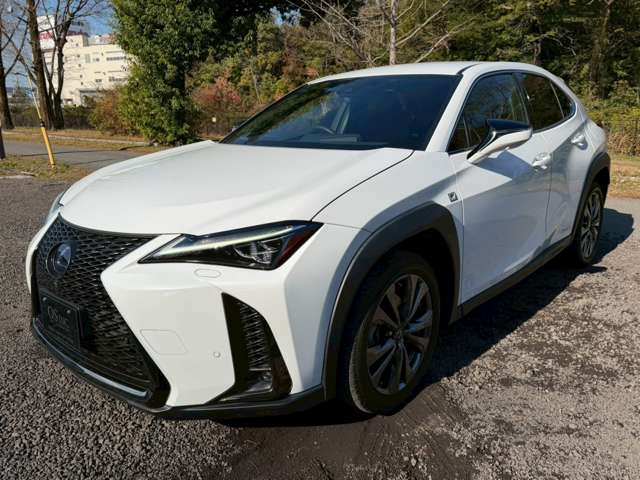 Lexus UX 9