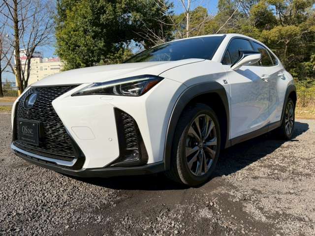 Lexus UX 10