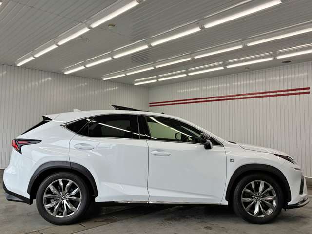 Lexus NX 11