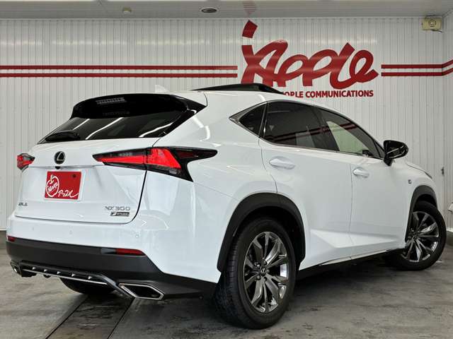 Lexus NX 12