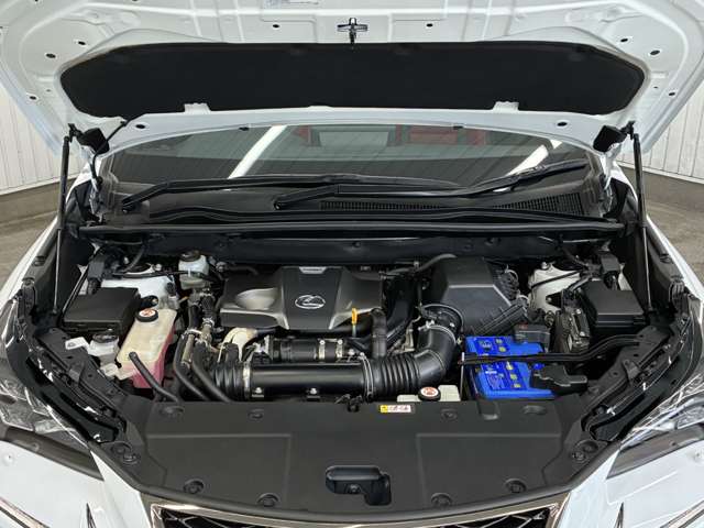 Lexus NX 2