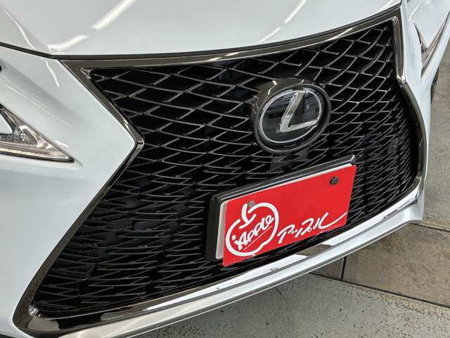 Lexus NX 6