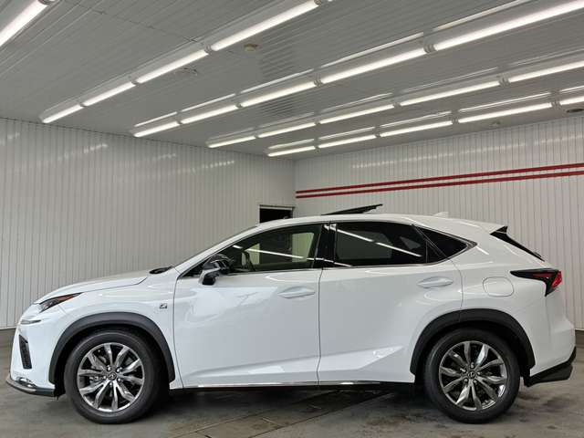 Lexus NX 10
