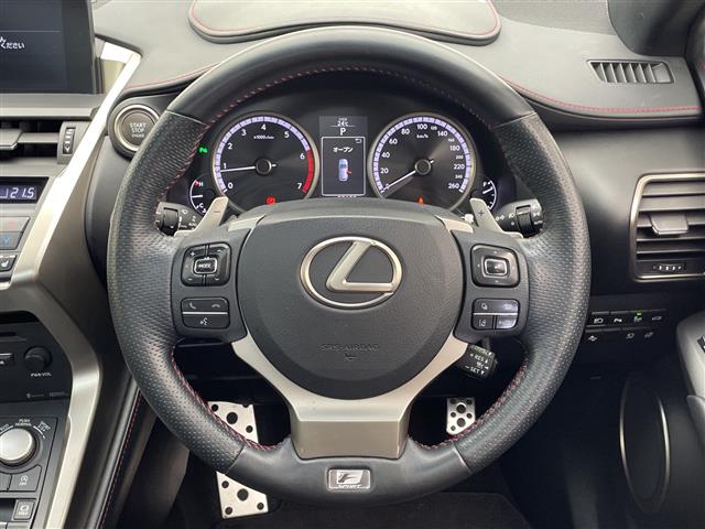 Lexus NX 10