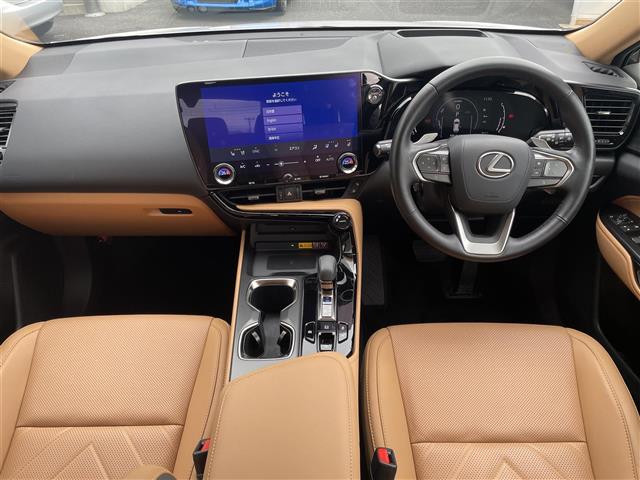 Lexus NX 3