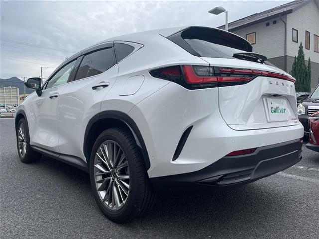 Lexus NX 4