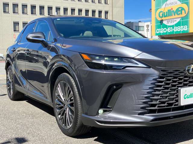 Lexus RX 11