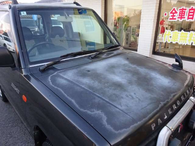 Mitsubishi Pajero Mini 11