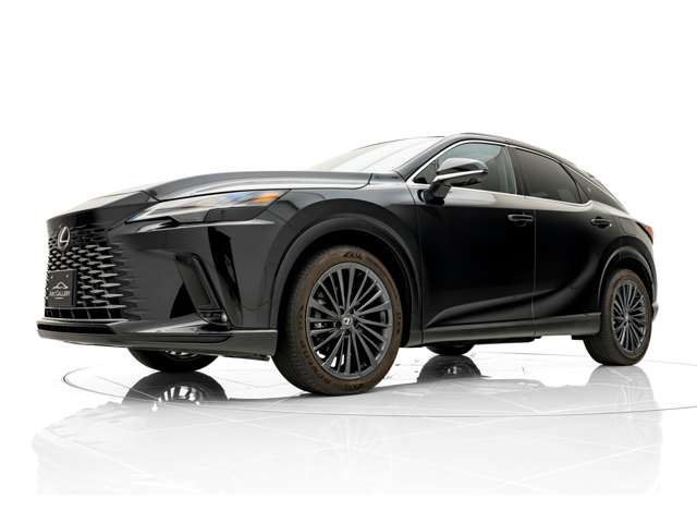 Lexus RX 11