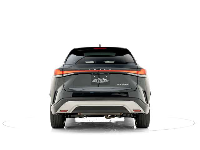 Lexus RX 6