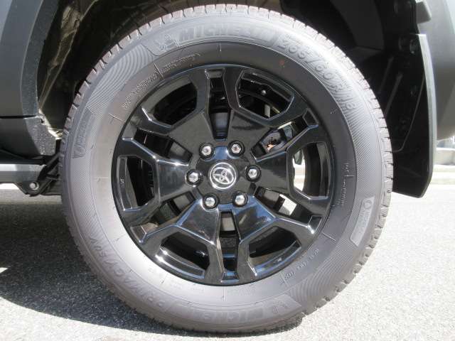 Toyota Land Cruiser FJ 11